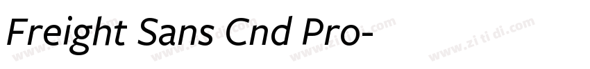 Freight Sans Cnd Pro字体转换